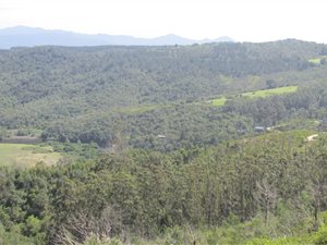 6163 m² Land available in Eastford Downs