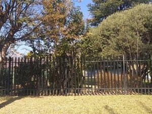 3 Bed House in Ferryvale