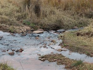 505 ha Farm in Bela-Bela (Warmbaths)