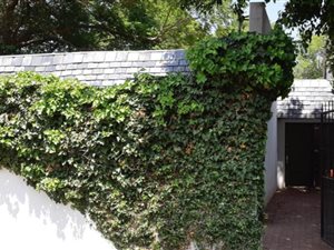 2 Bed Townhouse in Lynnwood Manor