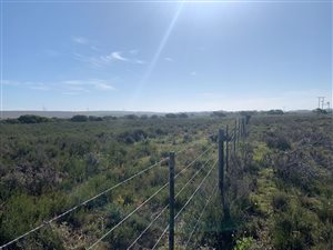 5 ha Smallholding in St Francis Bay