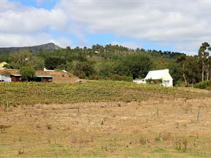 2 ha Farm in Tesselaarsdal