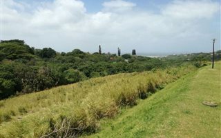 569 m² Land available in Sea Park