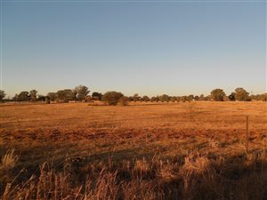 4.3 ha Land available in Quaggafontein