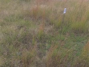 952 m² Land available in Bronkhorstbaai