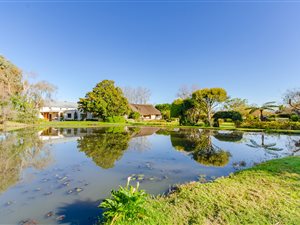 4 ha Farm in Stellenbosch Agricultural