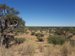 3531 ha Farm in Hotazel