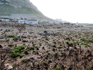1815 m² Land available in Bettys Bay