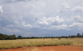 1 ha Land available in Kameeldrift East