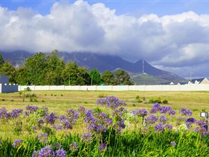 723 m² Land available in Mont Fleur Mountain Estate