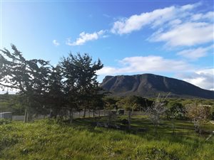 654 m² Land available in Franskraal