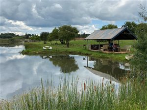 4.5 ha Farm in Bashewa