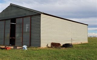 1076 ha Farm in Dealesville