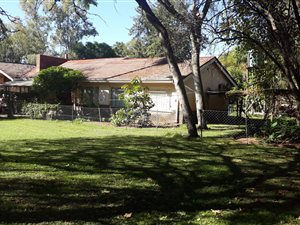 8.7 ha Farm in Bultfontein AH