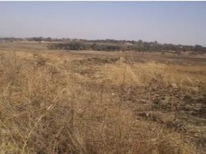 9.2 ha Land available in Diepsloot