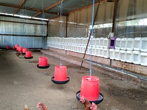 8.6 ha Smallholding in Ermelo