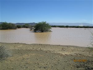 3419 ha Farm in Calvinia
