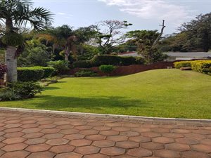 4 Bed House in St Winifreds