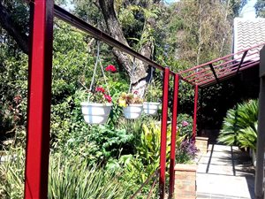 4 Bed House in Rembrandt Park