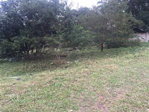 1150 m² Land available in Birdswood