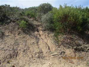 800 m² Land available in Island View