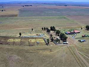 208 ha Farm in Vredefort