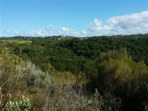 1125 m² Land available in Pezula Golf Estate
