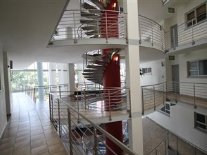 2 Bedroom Apartment in Riviera