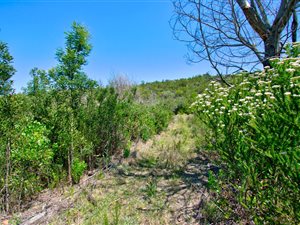 8 ha Land available in Harkerville