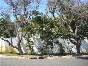 3 Bedroom House in Marina Da Gama