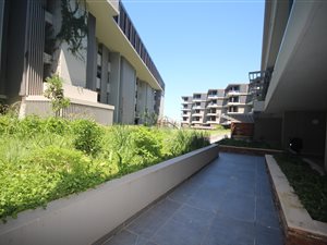 1 Bed Apartment in Sibaya Precinct