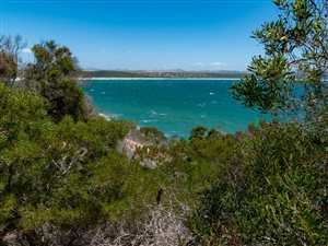 8 ha Farm in Vlees Bay