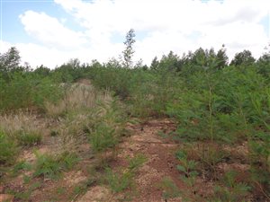 322 m² Land available in Mooikloof Country Residences