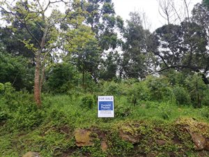 2.7 ha Land available in Crestholme