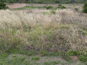 993 m² Land available in Hersham