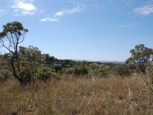 8.7 ha Land available in Kalkheuwel