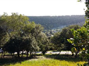 1027 m² Land available in Meedingsride