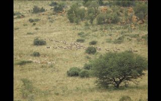 5 ha Farmland in Heidelberg AH