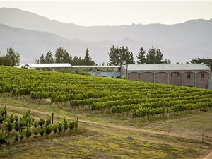 184 ha Farm in Tulbagh