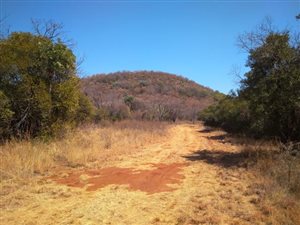 22.7 ha Farm in Modimolle