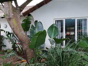 3 Bed House in Prestondale