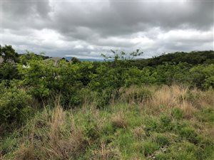 1646 m² Land available in Shandon Estate