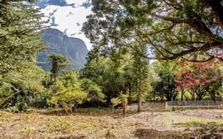 3601 m² Land available in Bishopscourt