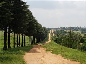 27 ha Farm in Muldersdrift