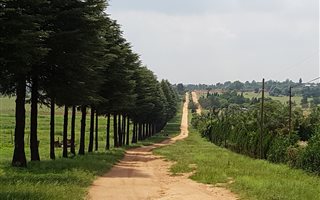 27 ha Farm in Muldersdrift