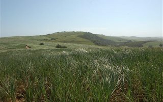 178 ha Farm in Ballito