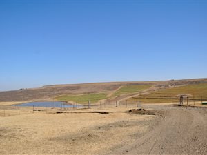 341.3 ha Farm in Bethlehem