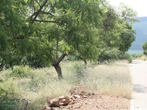 1205 m² Land available in Ohrigstad
