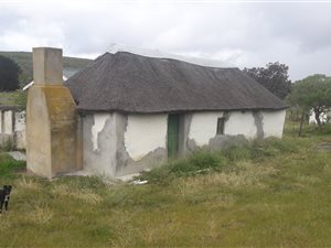 51 ha Farm in Albertinia