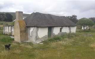 51 ha Smallholding in Albertinia
